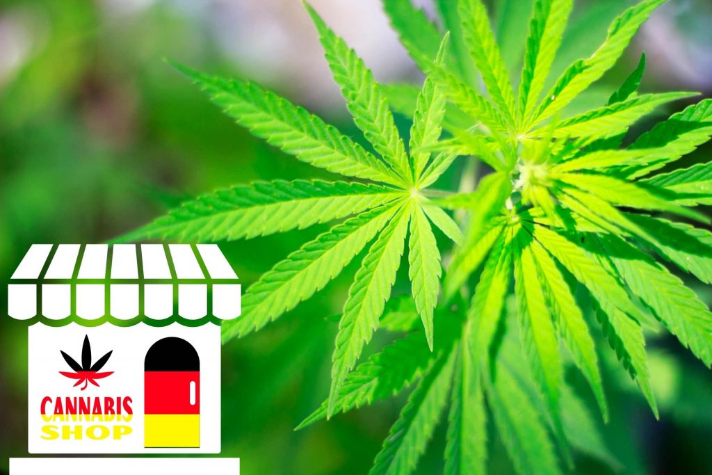 Legalizacja sprzedaży marihuany w Niemczech
