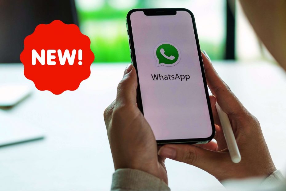 Nowa funkcja w aplikacji WhatsApp