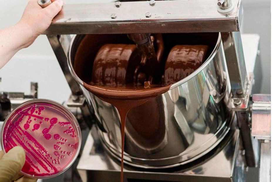 Salmonella w produktach czekoladowego giganta