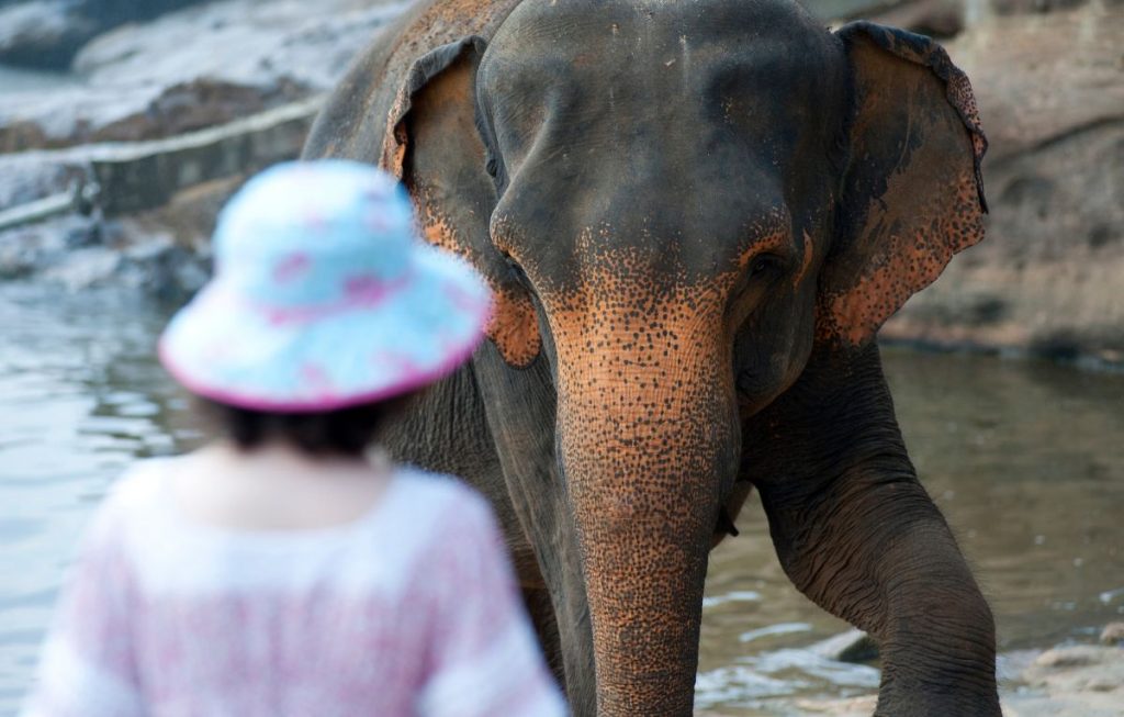 Najlepsze ZOO ogrody zoologiczne w Niemczech 2022