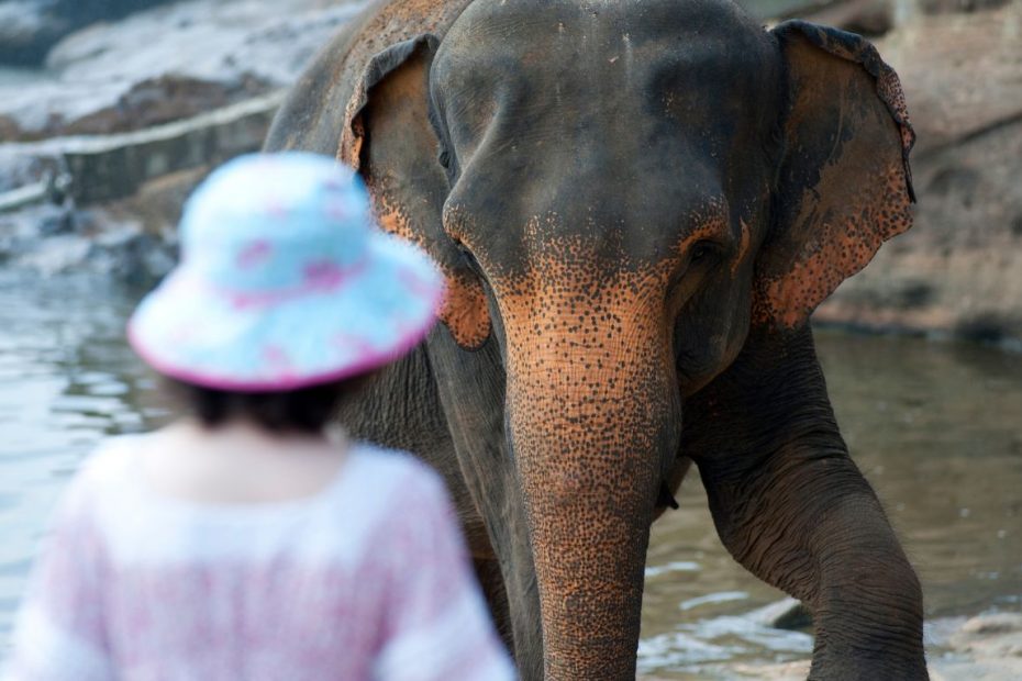 Najlepsze ZOO ogrody zoologiczne w Niemczech 2022