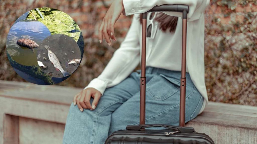 Natychmiastowe zakończenie sezonu w Niemczech