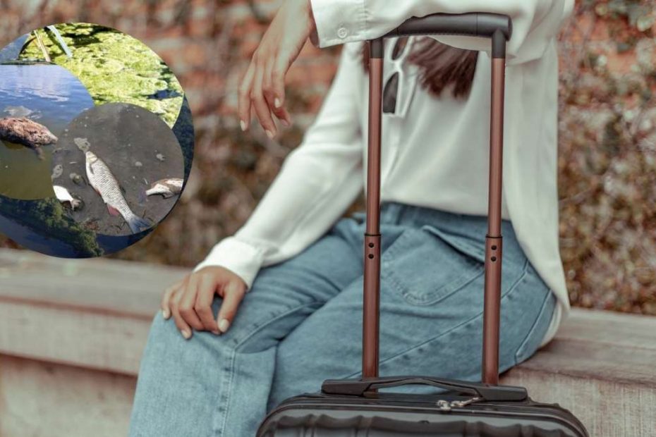Natychmiastowe zakończenie sezonu w Niemczech