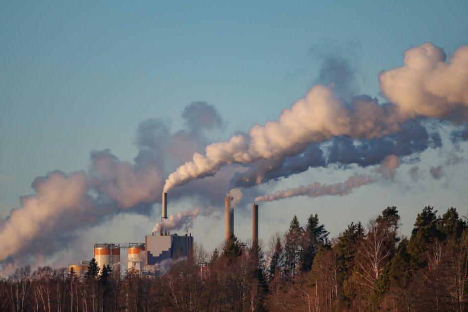 elektrownie weglowe w Niemczech