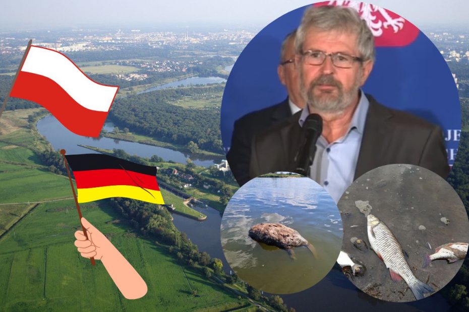 Rtęć w Odrze: Błąd tłumacza na konferencji
