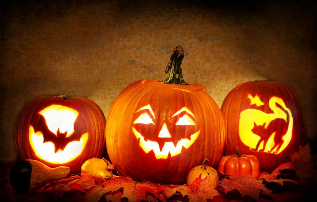 Jak wybrać dynię na Halloween? Nie wszystkie są jadalne