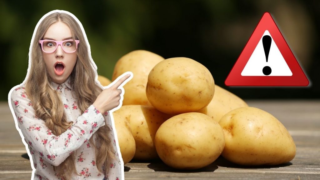 Nie jedz tych ziemniaków - możesz zachorować