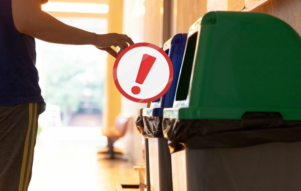 Segregacja śmieci w Niemczech – Papier w koszu BIO