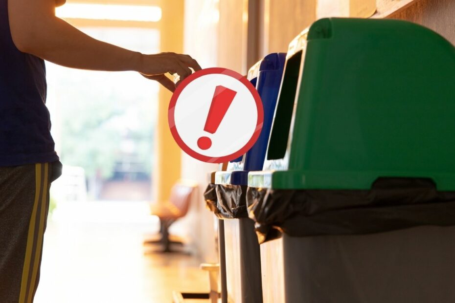 Segregacja śmieci w Niemczech – Papier w koszu BIO