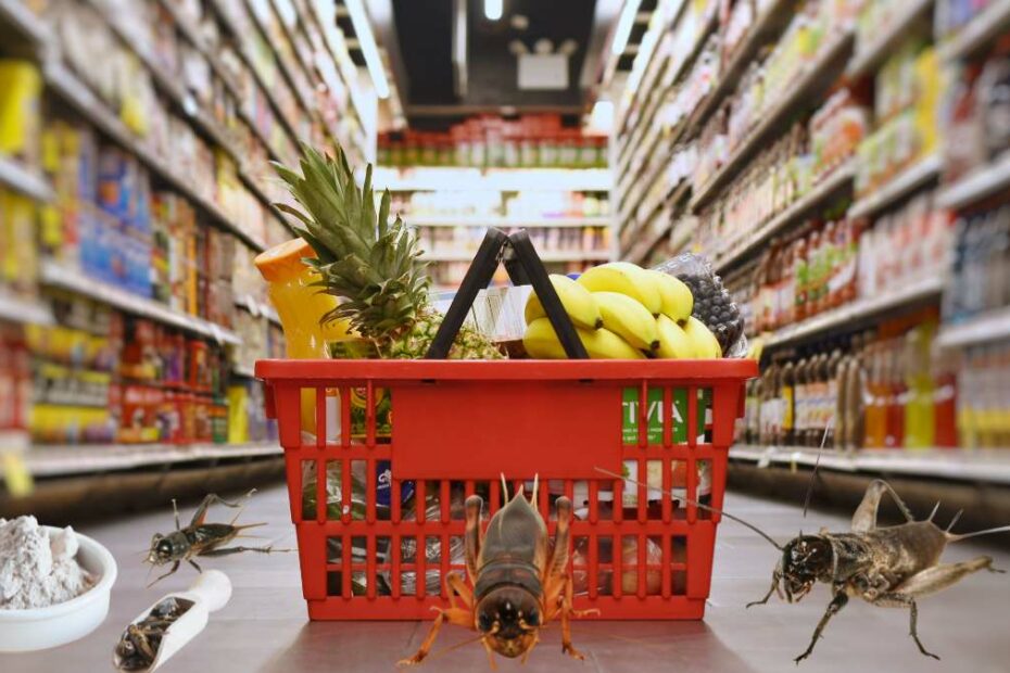 Mąka ze świerszczy w produktach