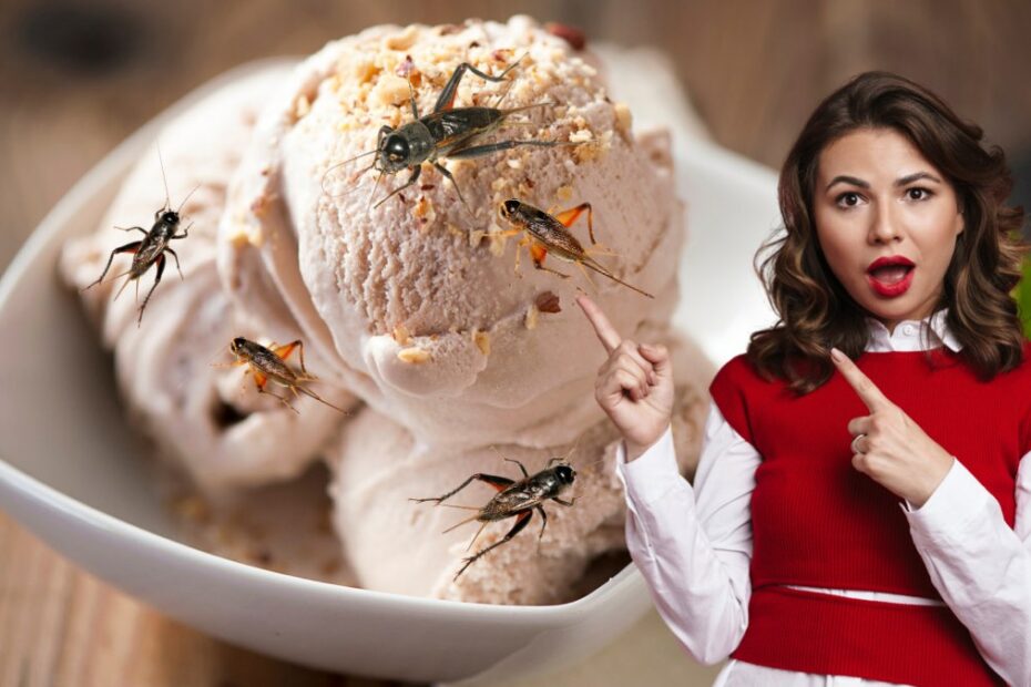 Lody o smaku owadów