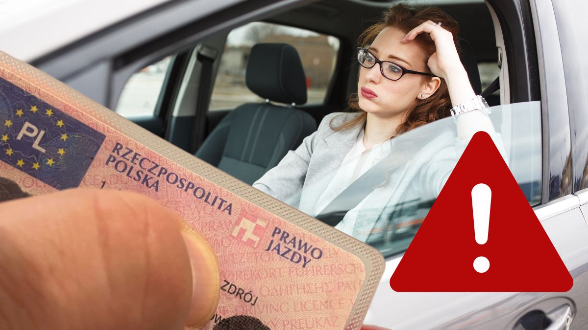 Transferul obligatoriu al permisului de conducere în Polonia