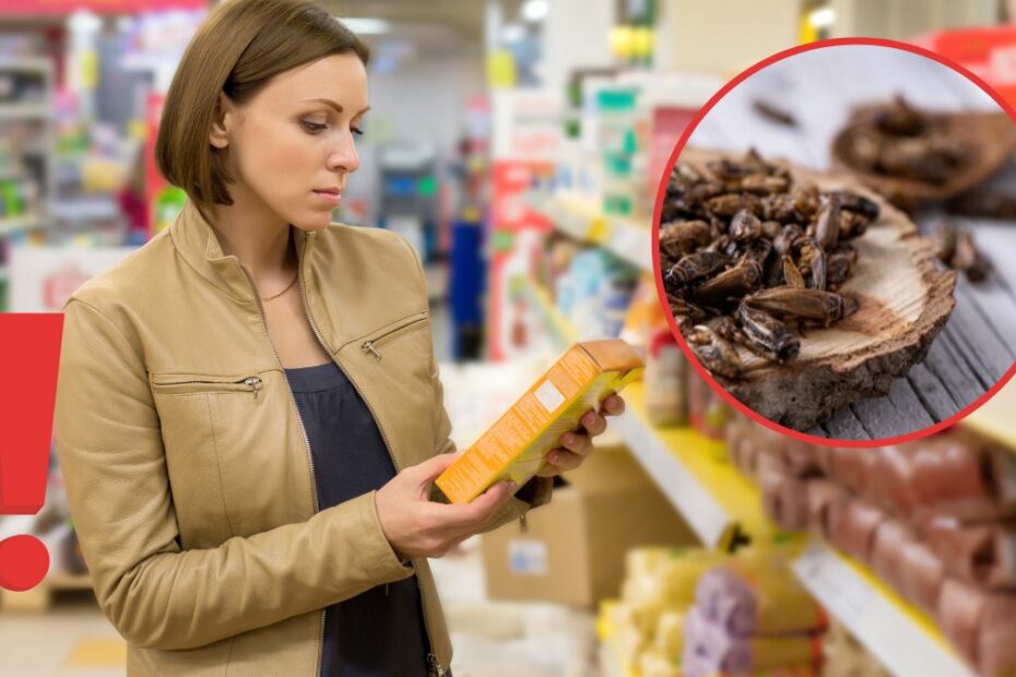 Mąka ze świerszczy - nazwa na etykietach spożywczych