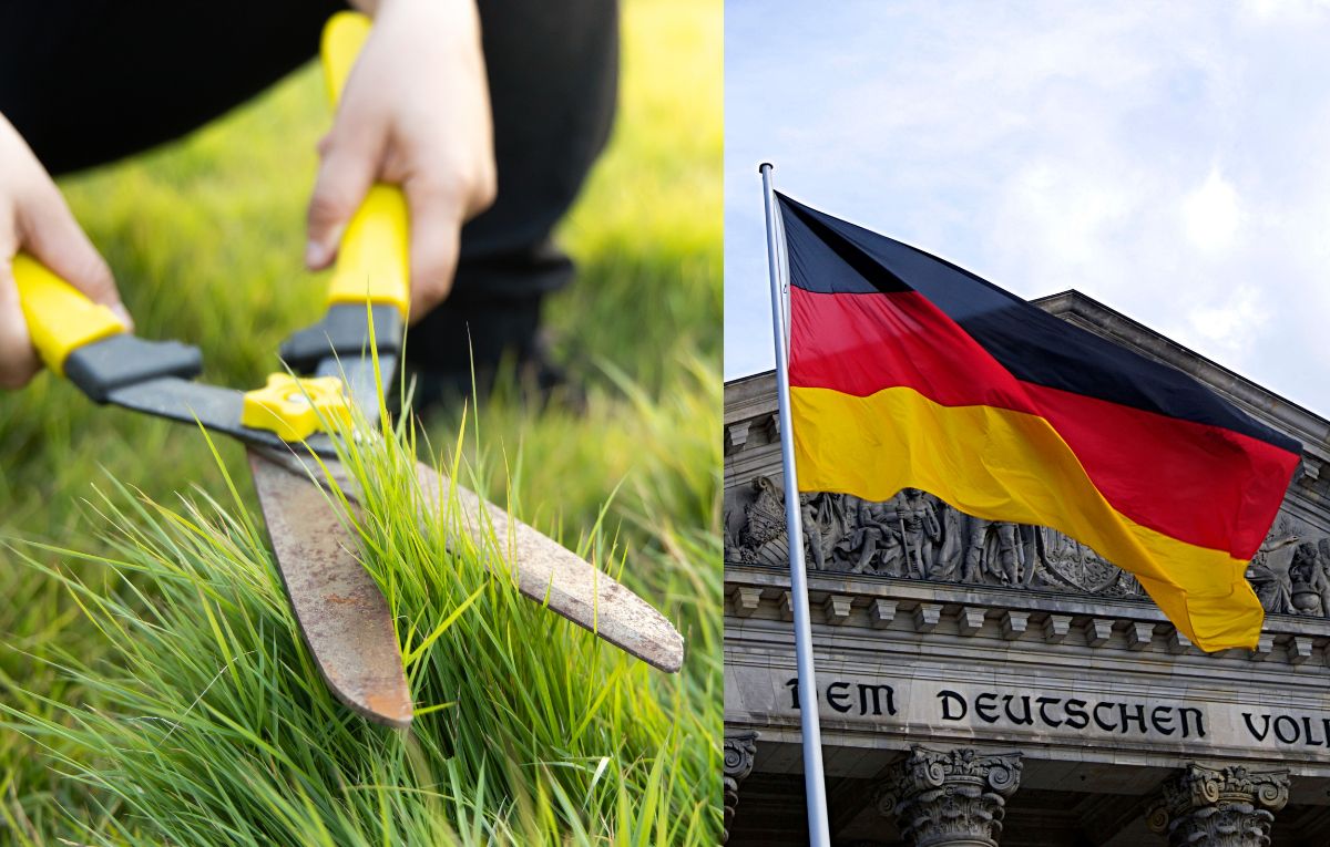 Bundestag poszukuje ogrodników. Surowe zasady dotyczą nawet trawników