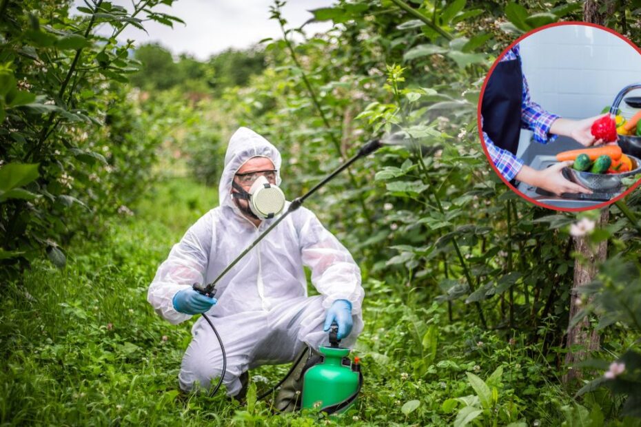 Producenci pestycydów ukrywali toksyczne działanie
