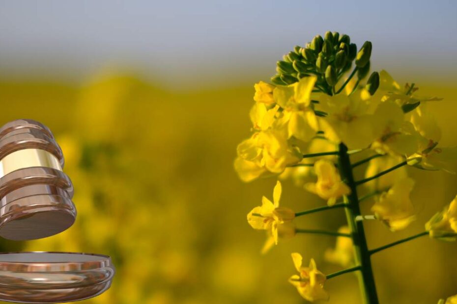Ukraina chce pozwać Polskę
