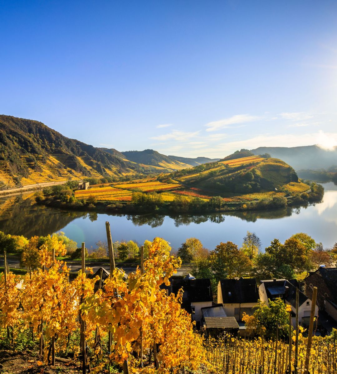 Regiony w Niemczech wino