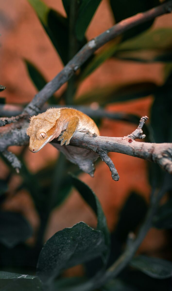 Biosphäre