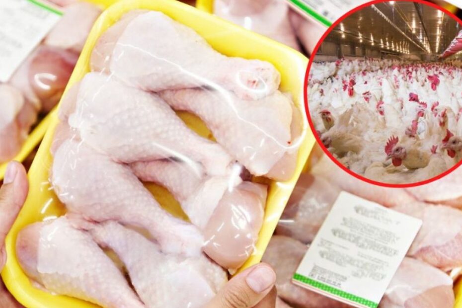 Mięso z kurczaka pod lupą ekspertów Foto: tacka z mięsem kurczaka