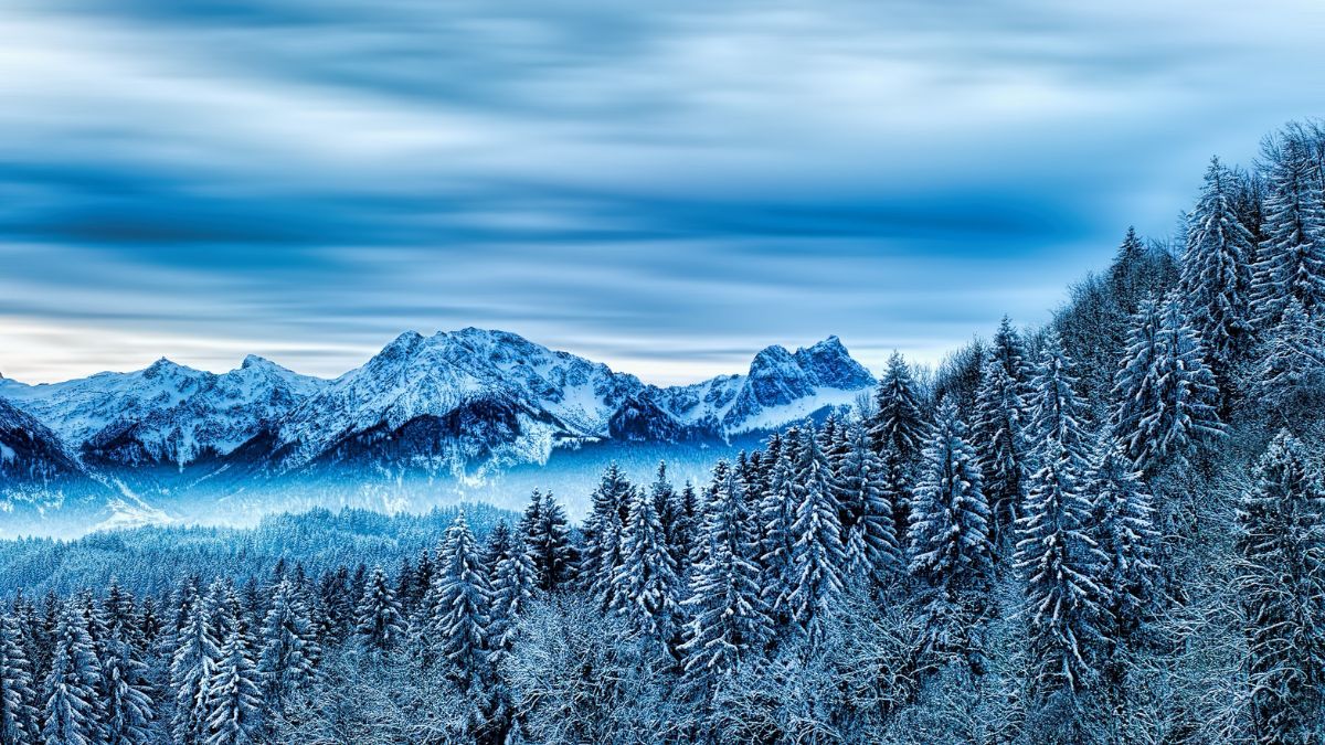 Schwarzwald
