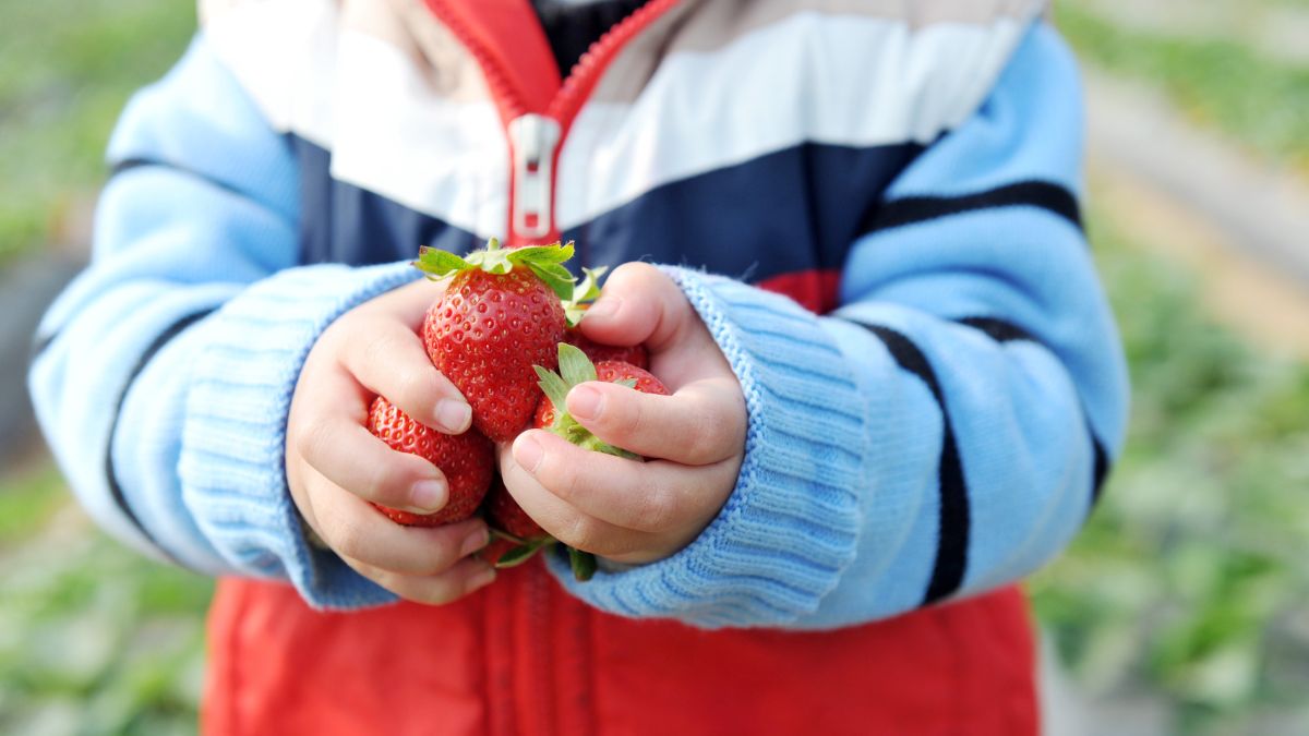 8-letni chłopiec zmarł po zjedzeniu truskawek