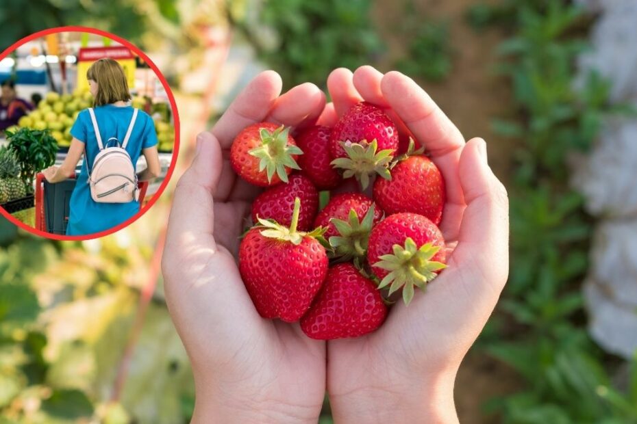 Aldi wprowadza Aldiny, wyjątkową odmianę truskawek