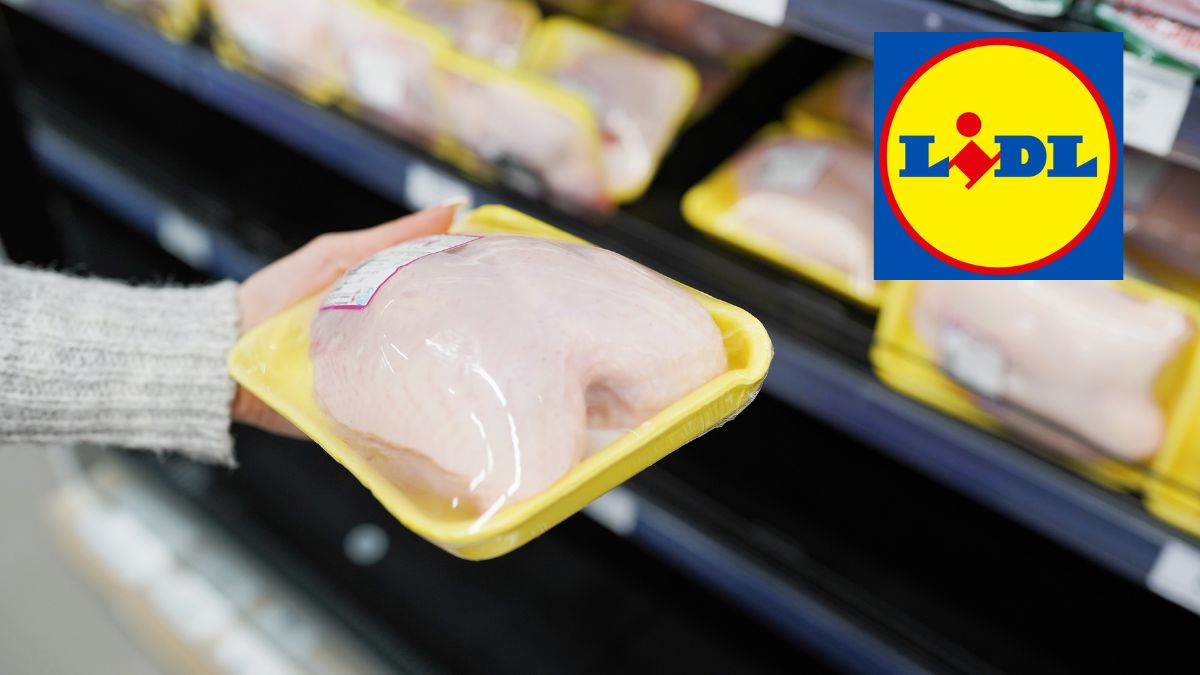 Superbakterie w mięsie drobiowym z Lidla
