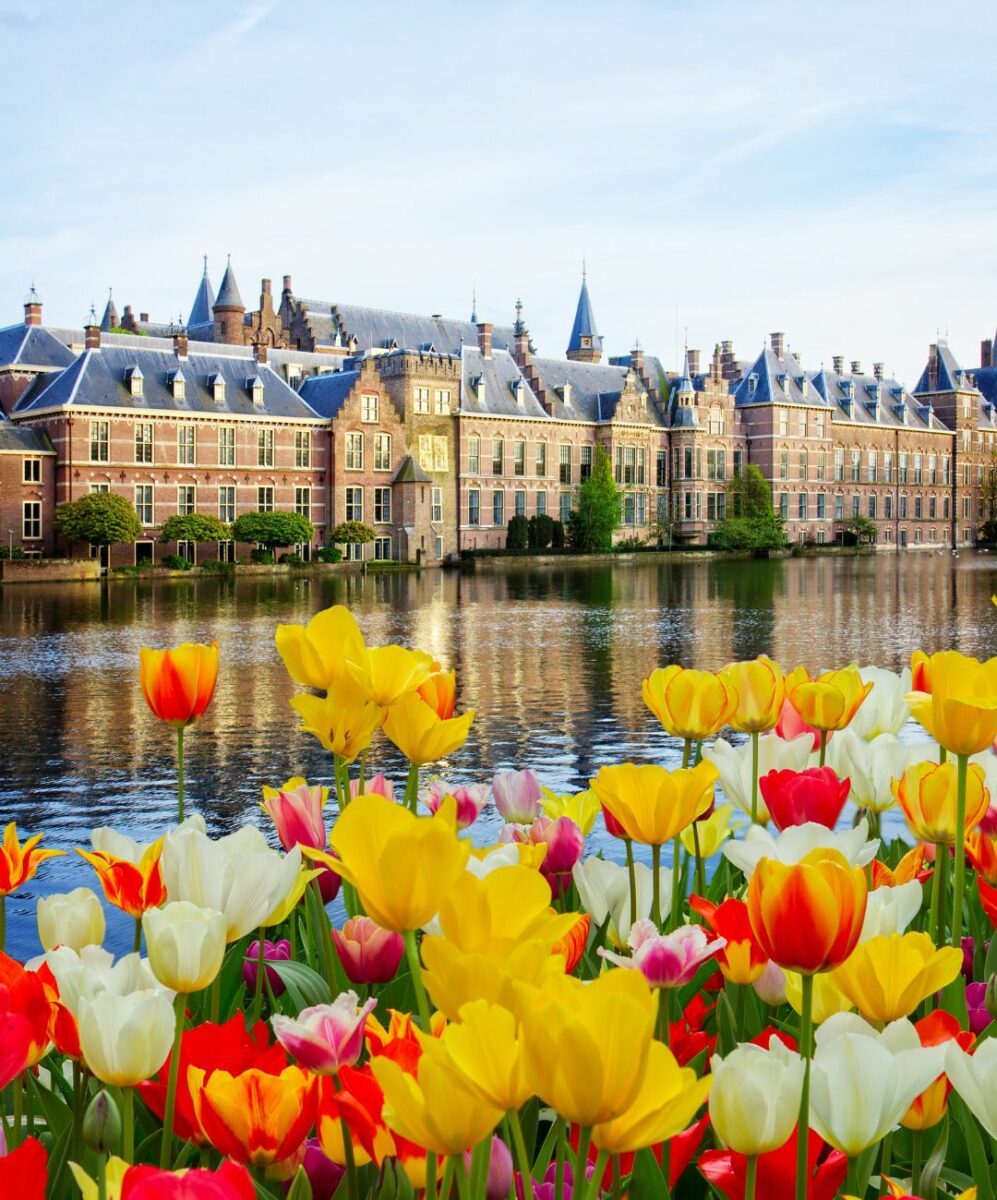 Zmiany w Holandii od lipca 2024