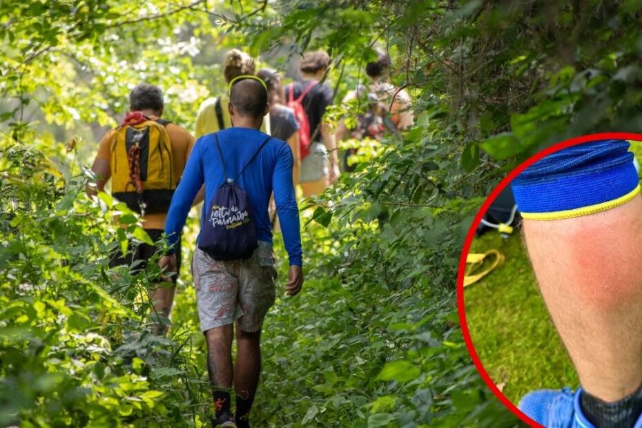 Niebezpieczna roślina atakuje wędrowców