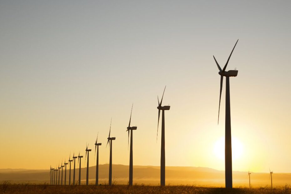 Niemcy liderem energetyki wiatrowej w Europie