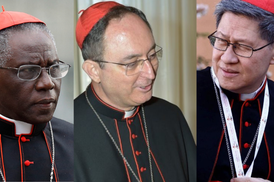 Kto zostanie następcą papieża Franciszka?