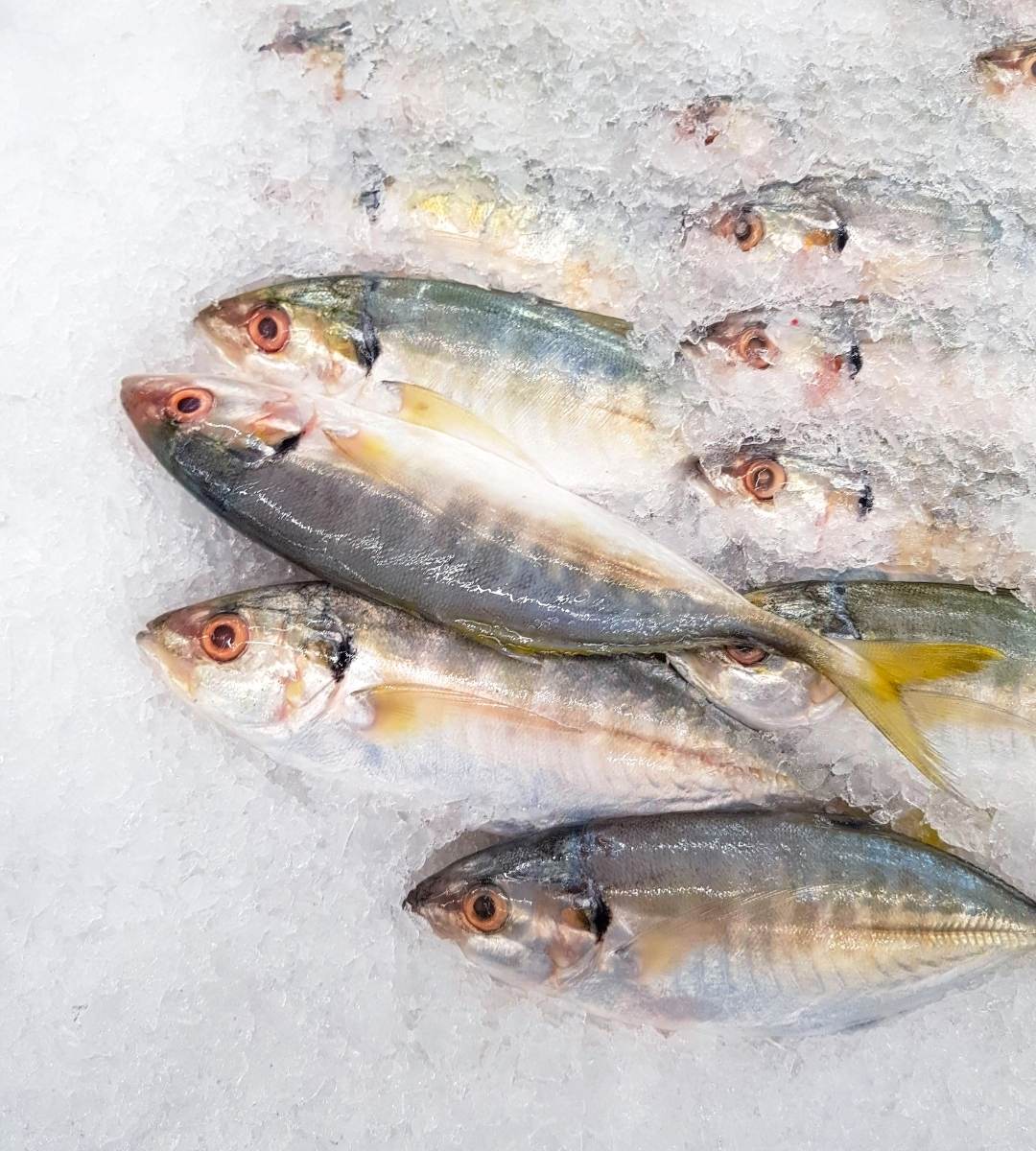 Koniec z ulubionymi rybami z supermarketu