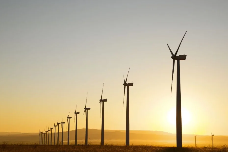 energetyka wiatrowa w niemczech