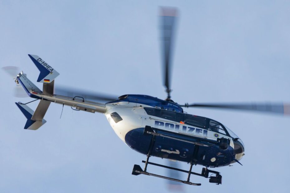 alarm w Niemczech puma