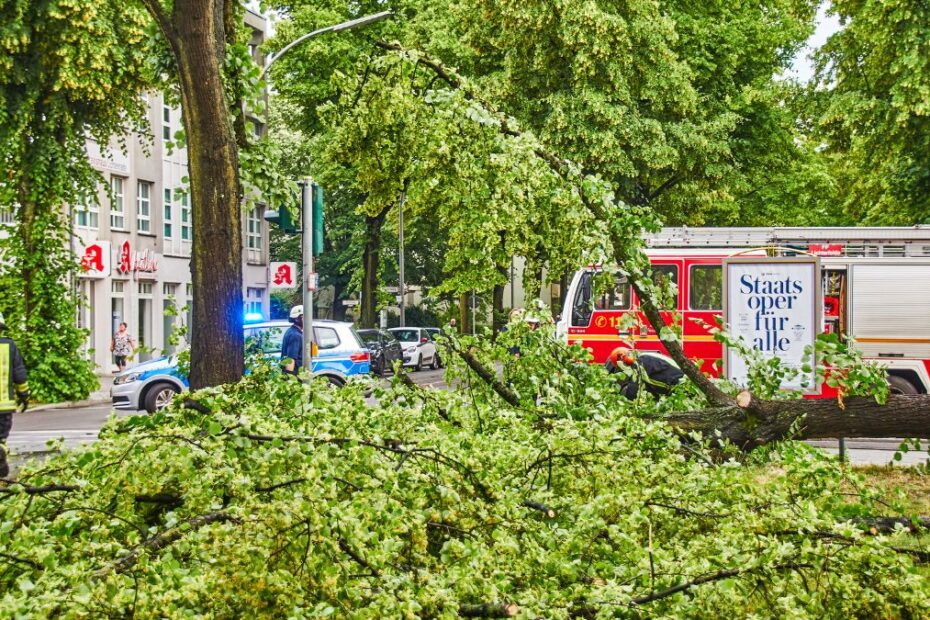 Potężna burza przeszła przez Berlin, ranni i zniszczenia. Na zdjęciu powalone drzewa w Berlinie, strażak . przechodnie i samochód straży pożarnej