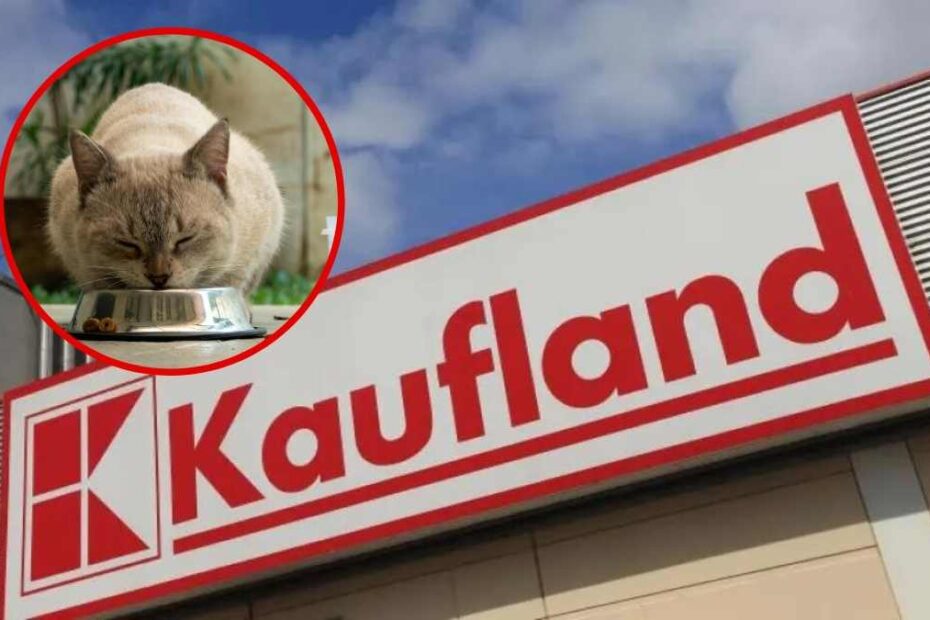 Pilne wycofanie karmy dla kotów z Kauflandu