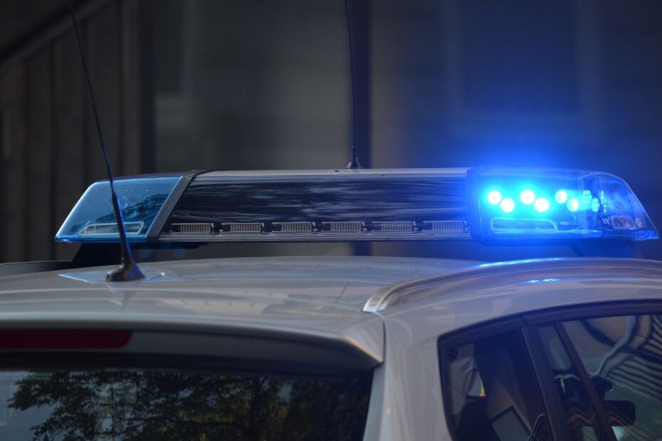 Próba kradzieży broni służbowej podczas kontroli drogowej