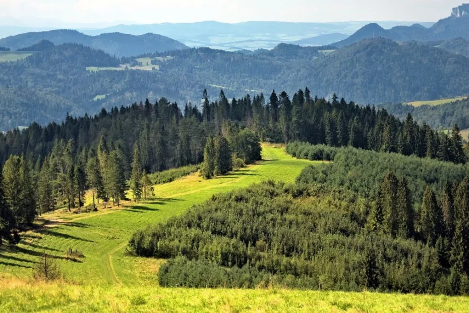 Droga ekspresowa S1 Foto: widok na góry