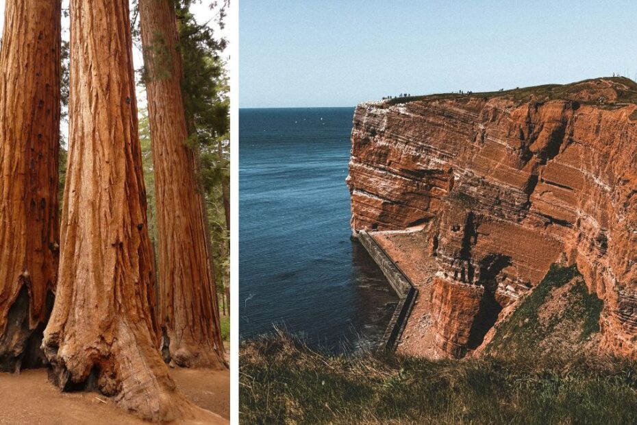 niesamowite cuda natury w Niemczech Foto: sekwoje i klify