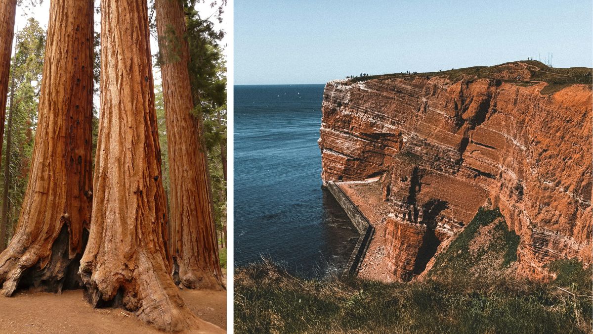 niesamowite cuda natury w Niemczech Foto: sekwoje i klify
