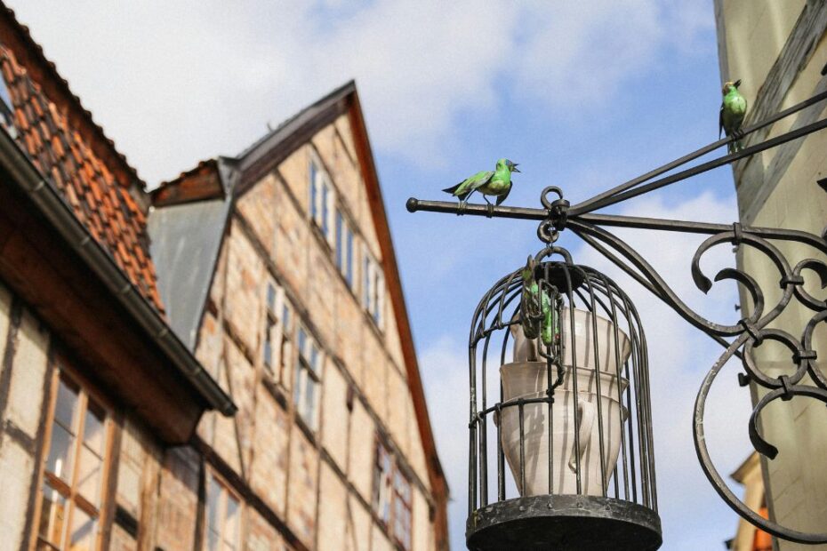 najbardziej gościnne miasto w Niemczech Foto domy w Quedlinburg
