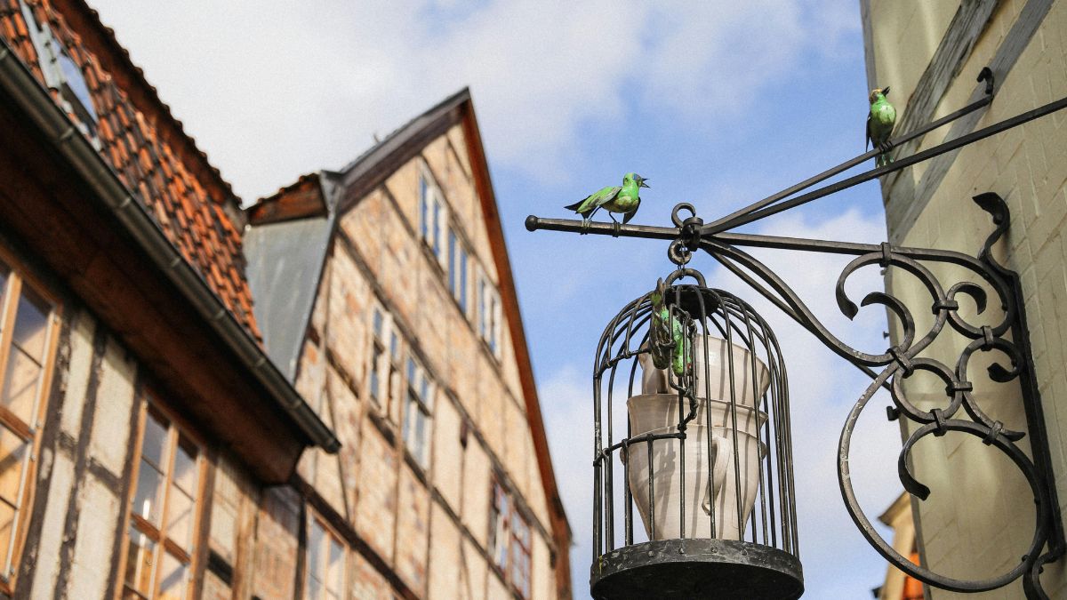 najbardziej gościnne miasto w Niemczech Foto domy w Quedlinburg