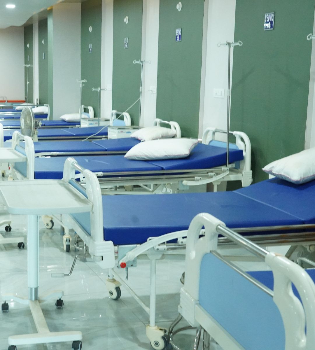 Groźny grzyb szpitalny rozprzestrzenia się w Europie