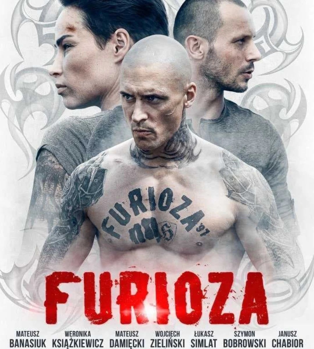 Kiedy Druga Furioza na Netflixie. zdjęcie  plakat 1 czesci