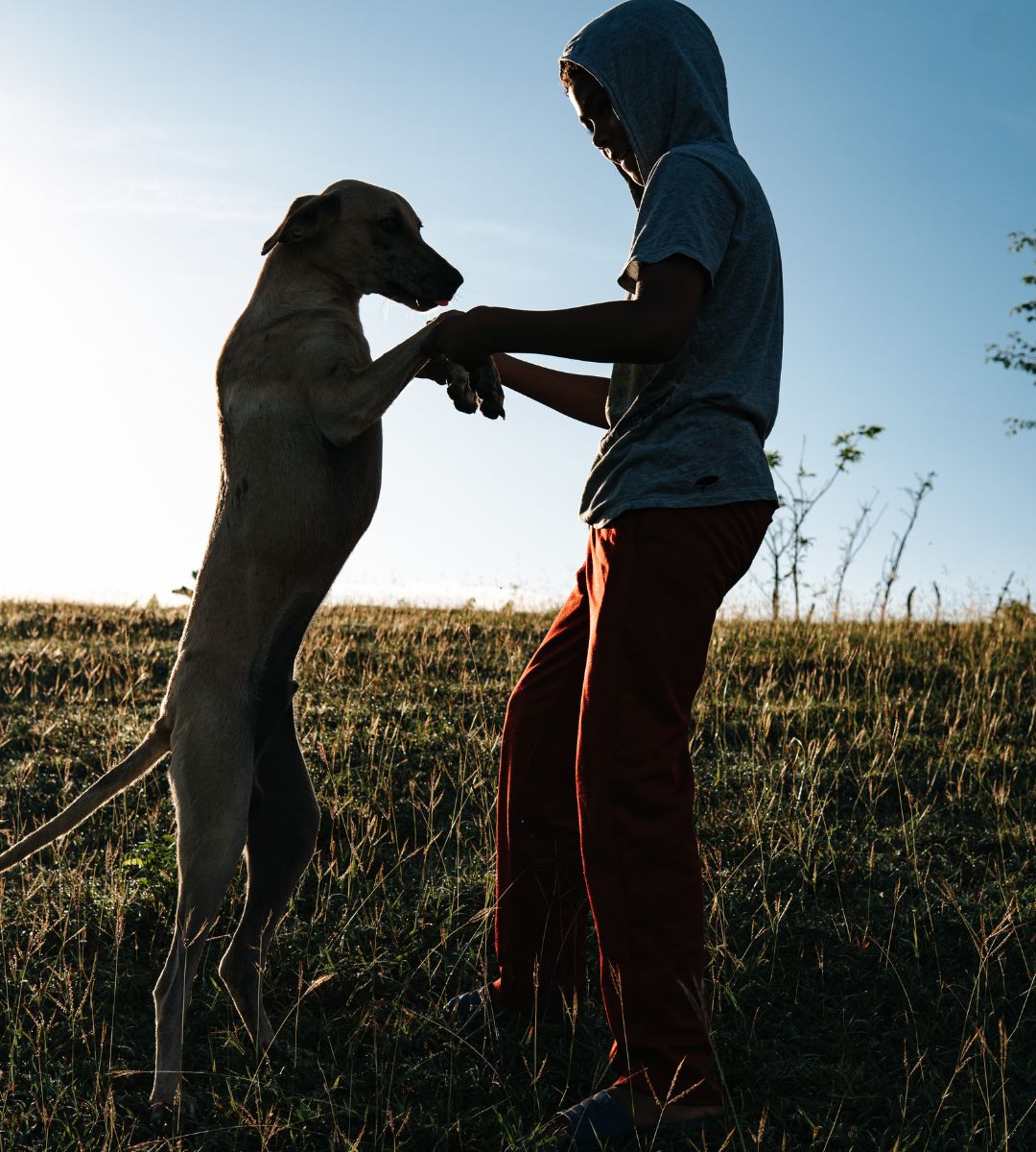 jak komunikują się psy Foto: pies ze swoim właścicielem