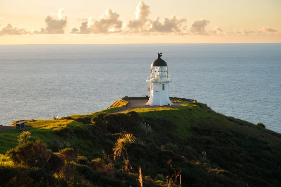 bezludne niemieckie wyspy Foto: widok na latarnię morską i dziką przyrodę