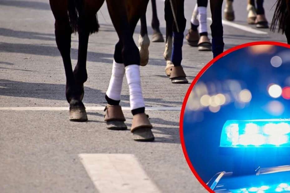 uciekające konie w Bawarii