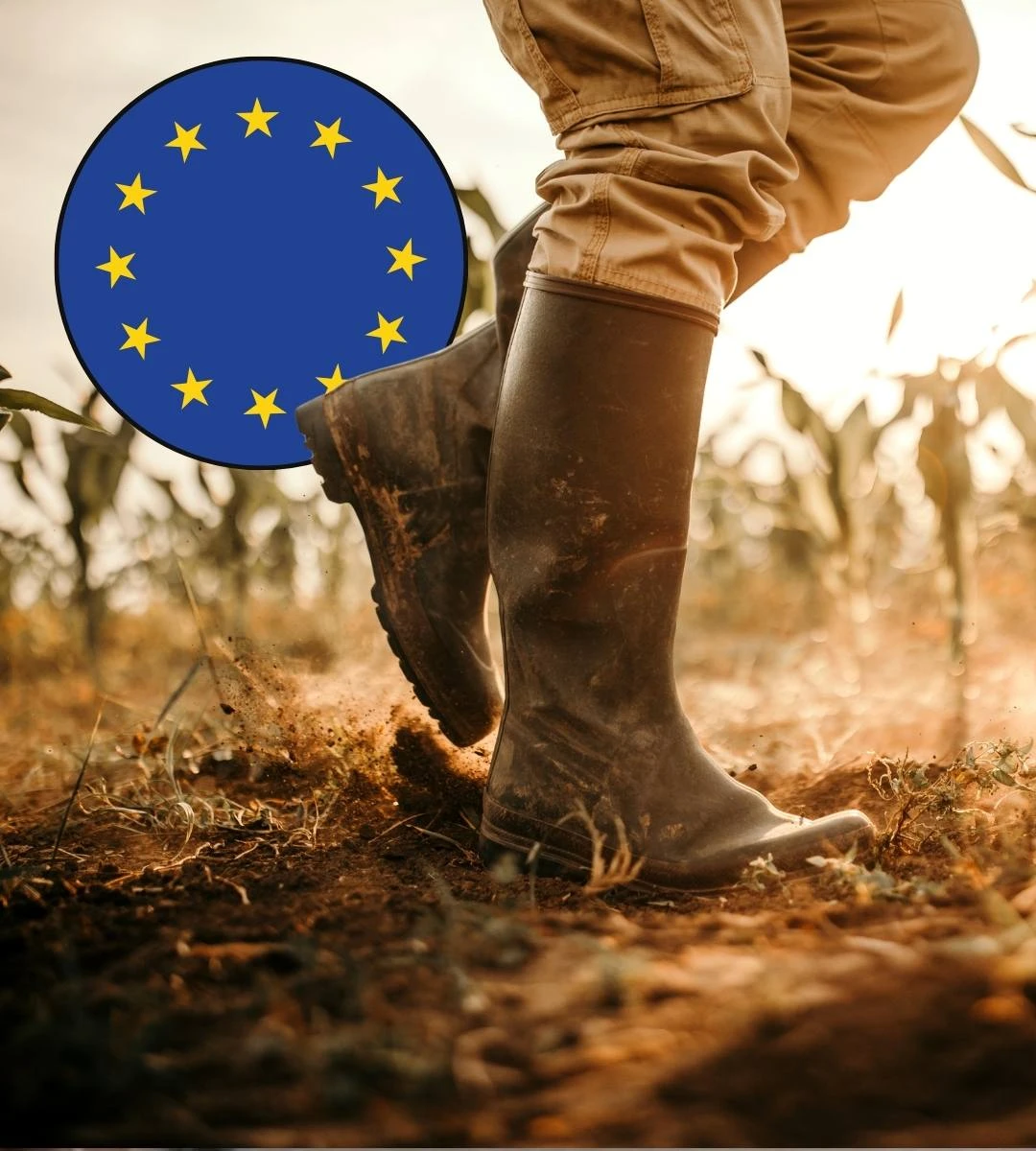 Nowe zasady UE dotyczące monitorowania gleby