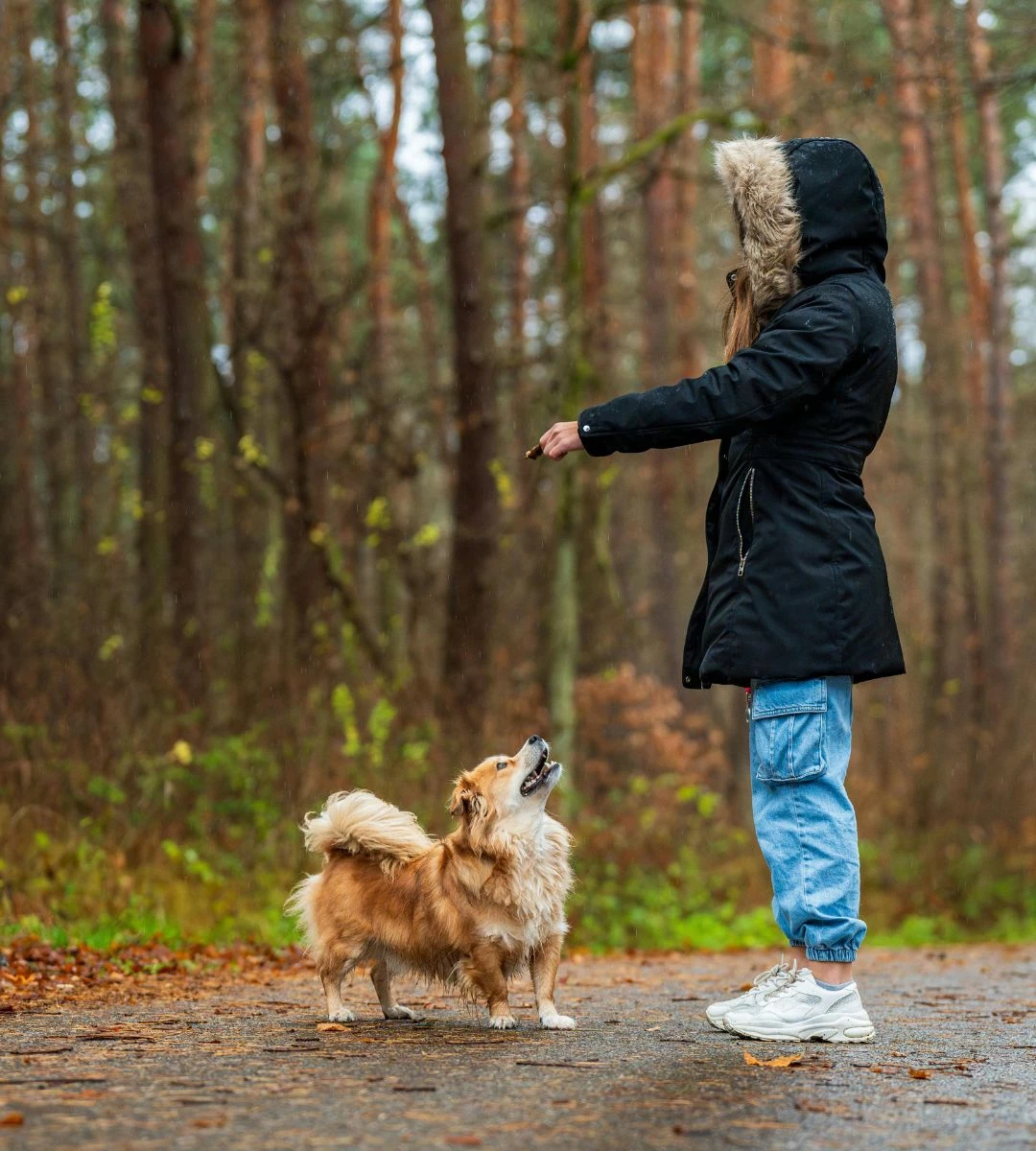 Psy mogą spowolnić starzenie biologiczne u kobiet Foto: Kobieta spacerująca z psem