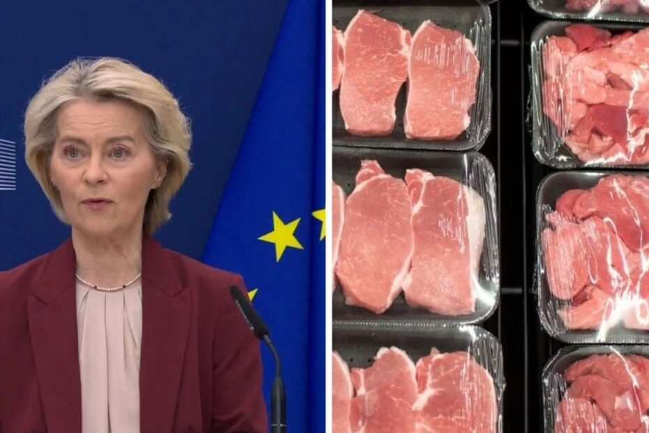 mięso z Mercosur